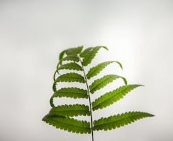 南方医科大学和云南中医药大学对比哪个好哪个更厉害？差距大吗？